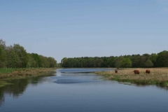 BSG wandeling Zundert apr18-54