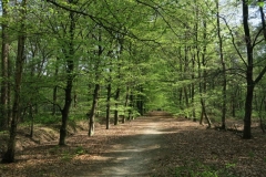 BSG wandeling Zundert apr18-57