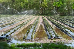 BSG wandeling Zundert apr18-59