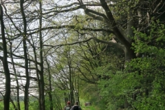 BSG wandeling Zundert apr18-60