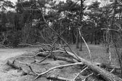 BSG-Bilthoven_12_feb2023_010