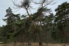 BSG-Bilthoven_12_feb2023_011