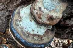 BSG-Bilthoven_12_feb2023_03