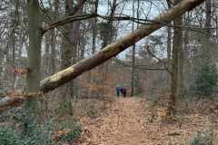 BSG-Bilthoven_12_feb2023_04