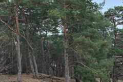 BSG-Bilthoven_12_feb2023_07