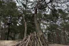 BSG-Bilthoven_12_feb2023_09