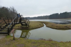 BSG wandeling Overveen-02