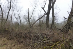 BSG wandeling Overveen-07