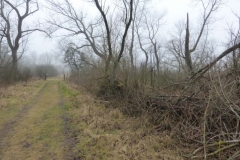 BSG wandeling Overveen-08