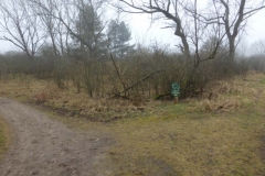 BSG wandeling Overveen-09