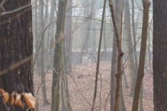 BSG wandeling Overveen-11