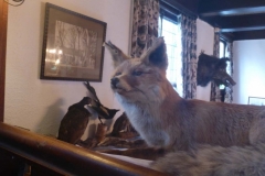 BSG wandeling Overveen-16