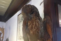 BSG wandeling Overveen-17