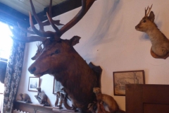 BSG wandeling Overveen-18