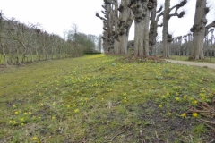 BSG wandeling Overveen-32