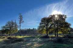 BSG-Gilze-Rijen_13nov22_Niek_010