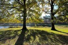 BSG-Gilze-Rijen_13nov22_Niek_011