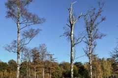 BSG-Gilze-Rijen_13nov22_Niek_012