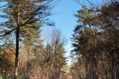 BSG-Gilze-Rijen_13nov22_Niek_027