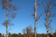 BSG-Gilze-Rijen_13nov22_Niek_028