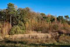 BSG-Gilze-Rijen_13nov22_Niek_030