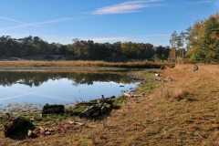 BSG-Gilze-Rijen_13nov22_Niek_031