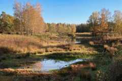 BSG-Gilze-Rijen_13nov22_Niek_033