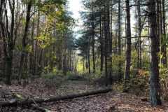 BSG-Gilze-Rijen_13nov22_Niek_08