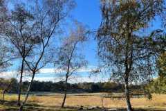 BSG-Gilze-Rijen_13nov22_Niek_09