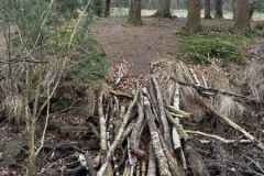 BSG-wandeling-Den-Dolder_Niek_dec-2025_24