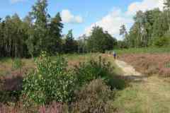 BSG-wandeling-Veenendaag-sept-2019_23