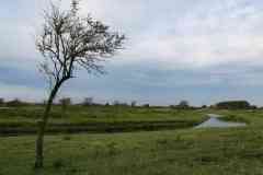 BSG-wandeling-Zandvoort-okt-2019231