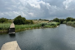 image8